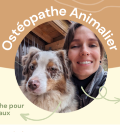 Tiphaine Ramette Ostéopathe Animalier