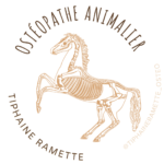 ostéopathe animalier