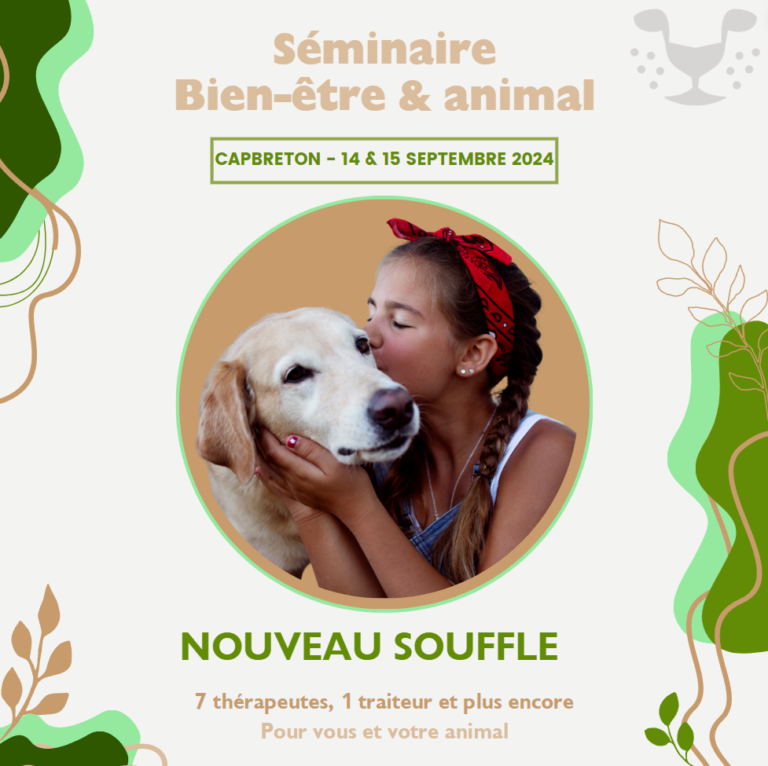 Séminaire bien être et animal solydari Nouveau Souffle