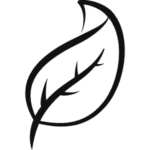 Hoja