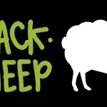 BLACKSHEEP VAN