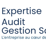 EXPERTISE AUDIT GESTION SOCIALE
