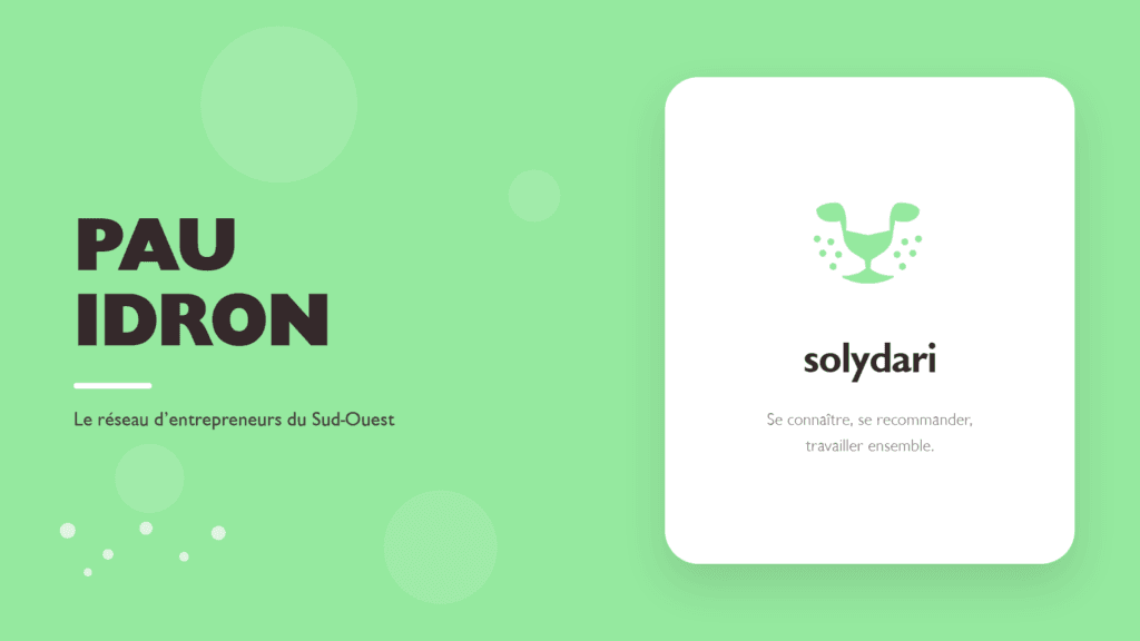 Bandeau du pôle Solydari de Pau Idron, réseau d'entrepreneurs du Sud-Ouest