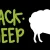 image webp