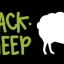 image webp