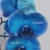 img 20250405 164927 638.webp