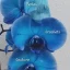 img 20250405 164927 638.webp
